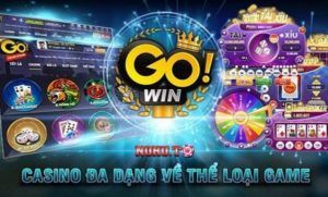 no-hu-go-win